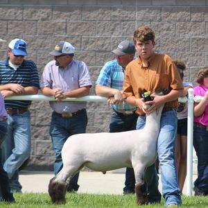 Meet your Posher, Bryce